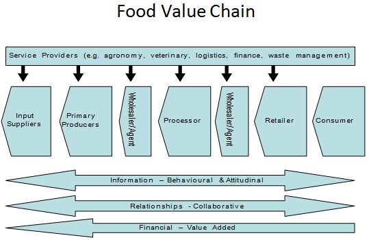 value chain analysis example service industry