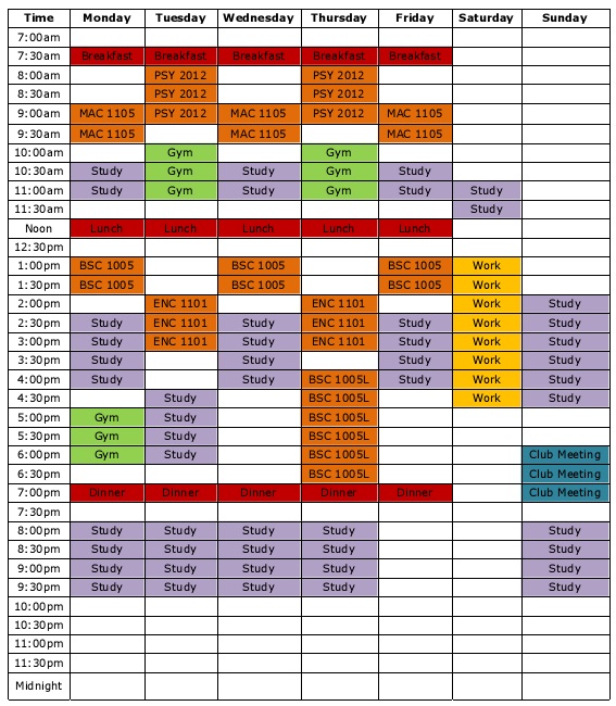 study timetable for 8th class student
