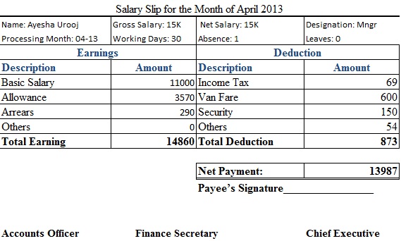 salary slip for the month