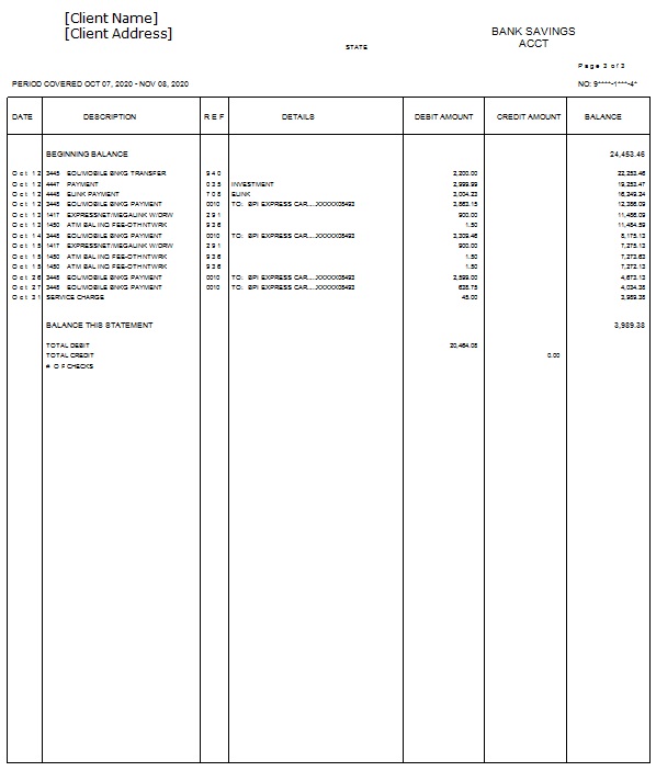bank statement template 17