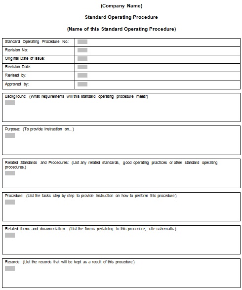 standard operating procedure template 12