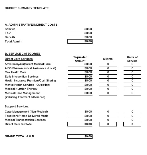 budget summary template 11