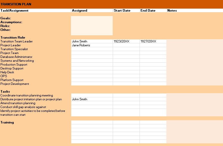 transition plan excel sheet template 1