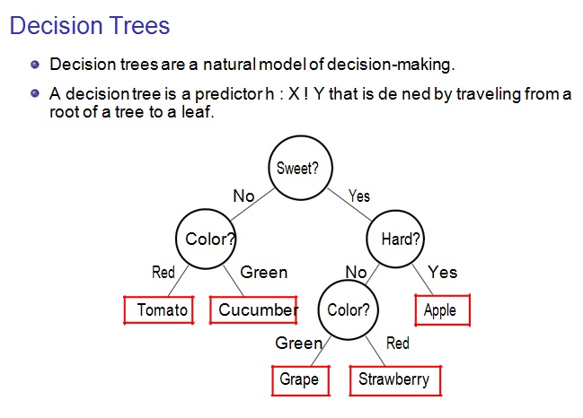 decision tree template 21