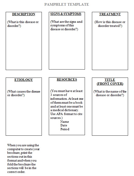 pamphlet template 11