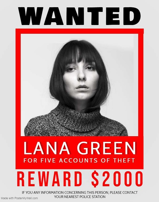 wanted poster template 14