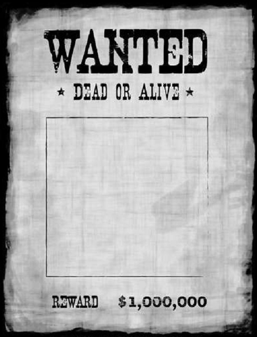 wanted poster template 16