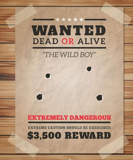 wanted poster template 26