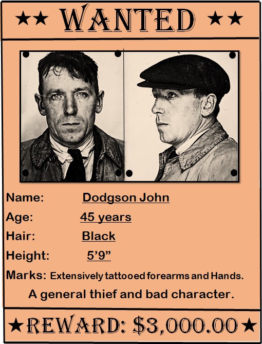 wanted poster template 6