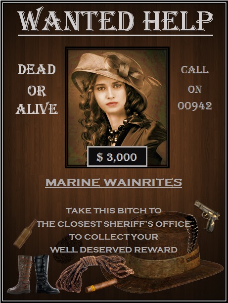 wanted poster template 7