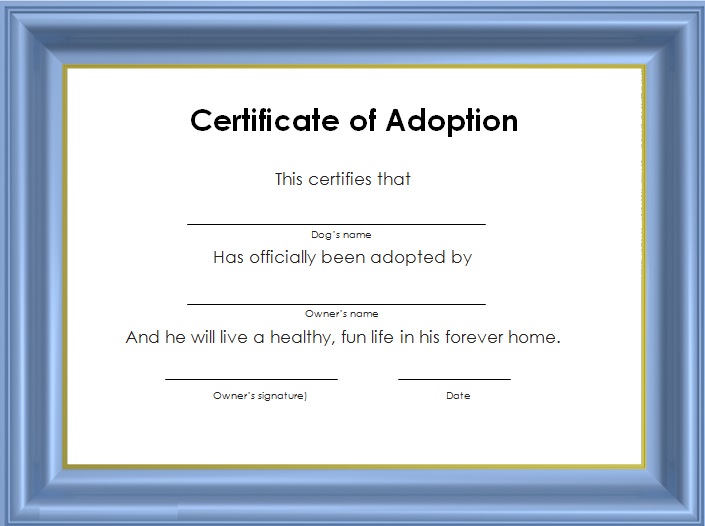 adoption certificate template 10