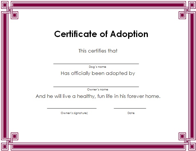 adoption certificate template 2