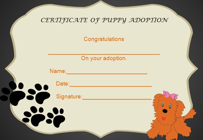 adoption certificate template 21