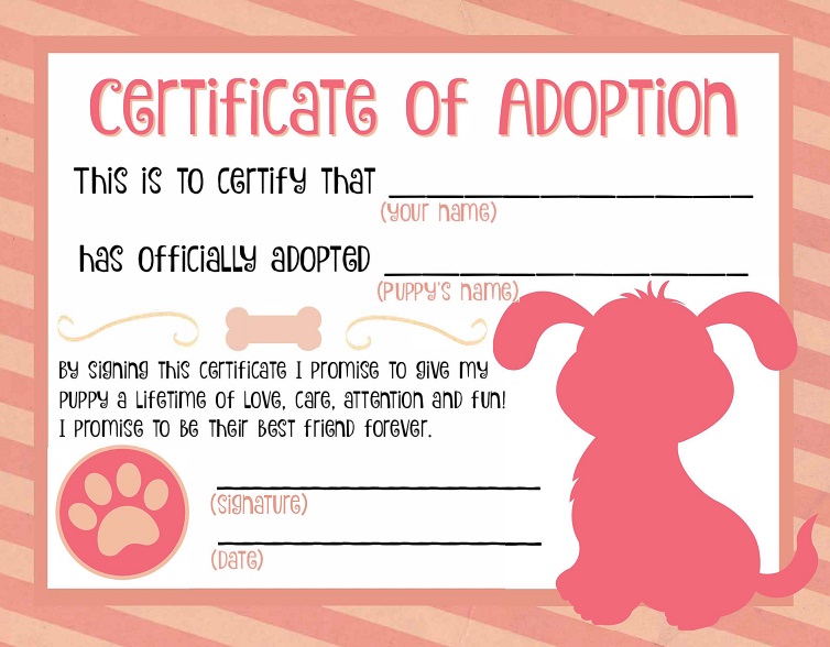 adoption certificate template 25
