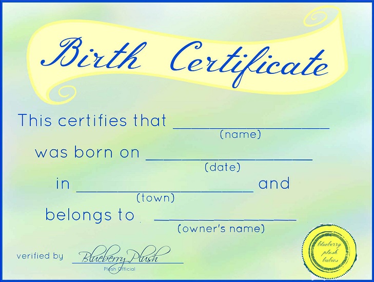 adoption certificate template 30