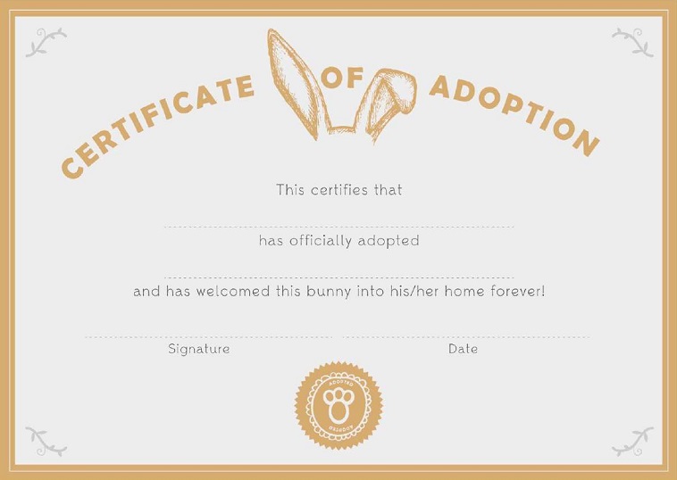 adoption certificate template 32