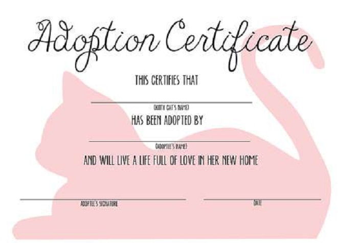adoption certificate template 36