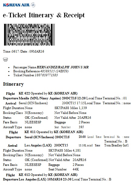 plane ticket template 13