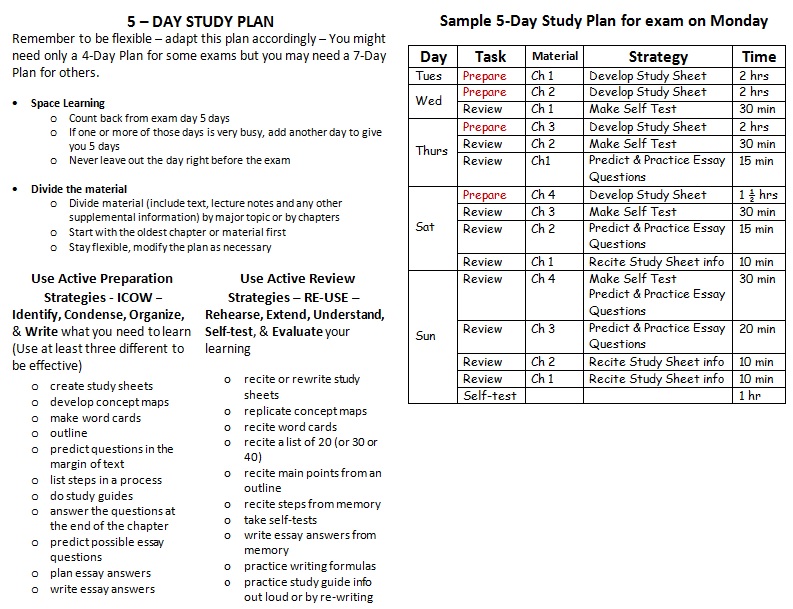 5 day study plan template