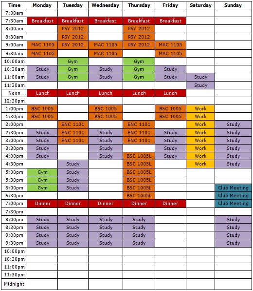 weekly study plan template 2