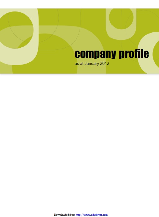 company profile template 3
