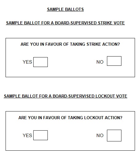 election ballot template 11