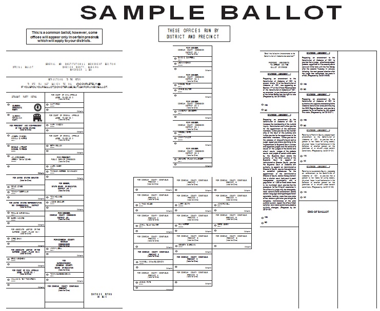 election ballot template 18