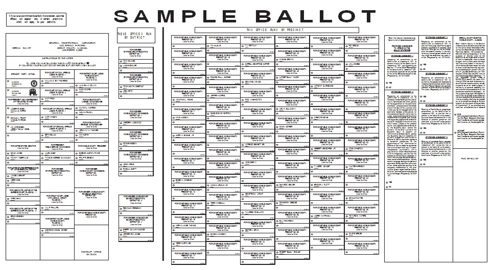 election ballot template 2