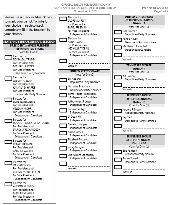 election ballot template 21