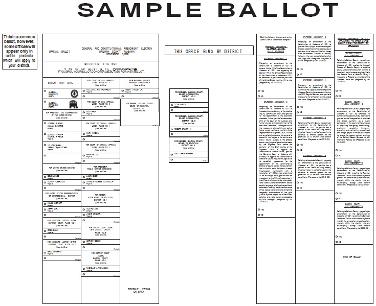 election ballot template 27