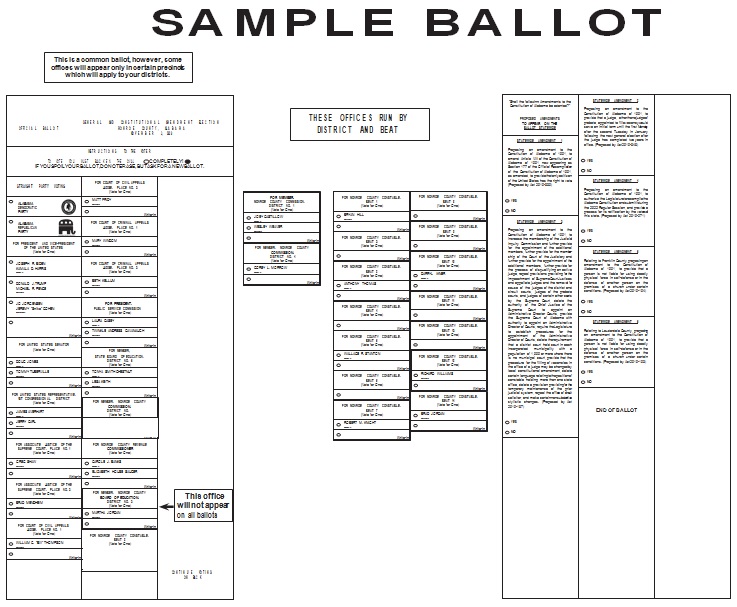 election ballot template 28