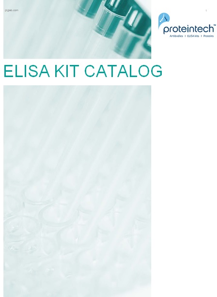 kit catalog template