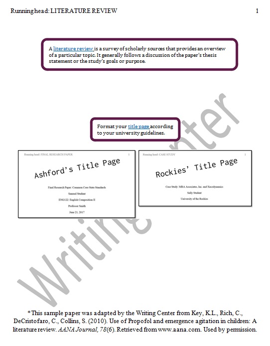literature review template 19