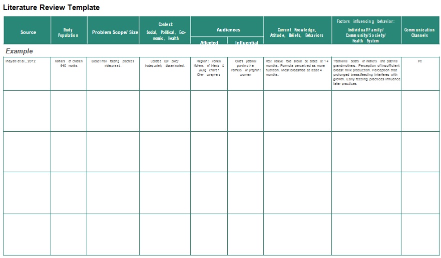 literature review template 3