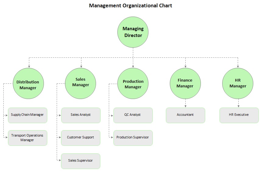 management organizational chart template