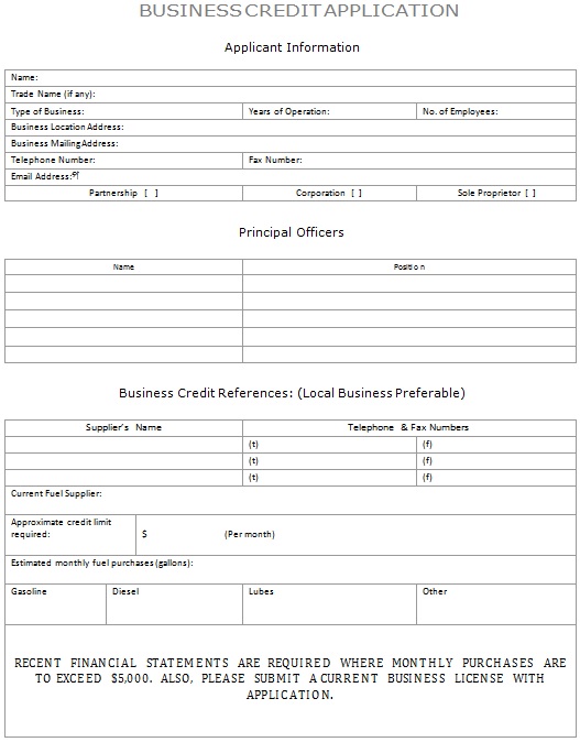 business credit application template 17